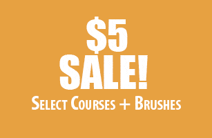 Art and Animation Training