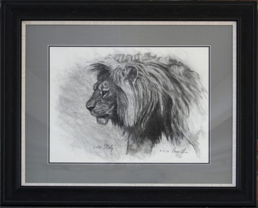 "Lion Study" - Image 2