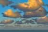 aaron blaise corel painter tutorial aaron blaise corel painter tutorial