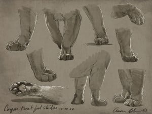 How to Draw Paws