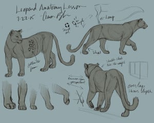 How to Draw Animals Big Cats