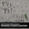 Drawing Human Anatomy