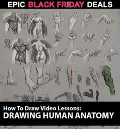 How to Draw: Drawing Human Anatomy