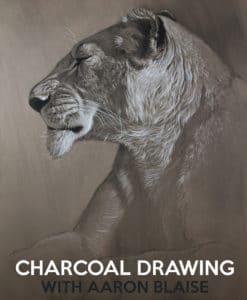 charcoal-drawing-lioness-title