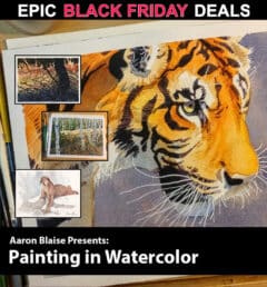Watercolor Painting Course with Aaron Blaise