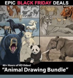 Animal Drawing Bundle