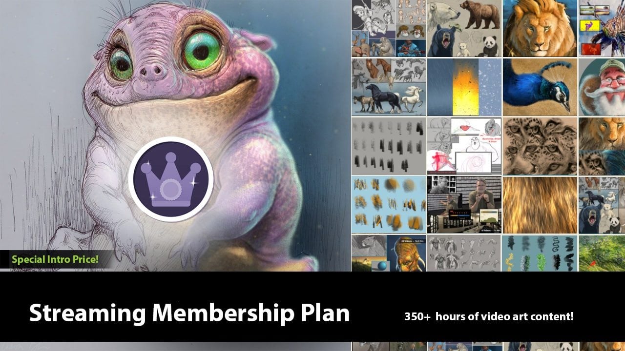 750 Hours of Art & Animation Lessons - Streaming Membership Plan