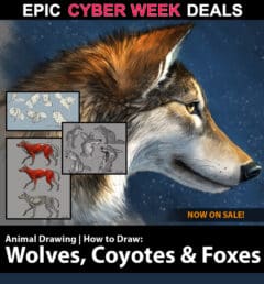 How to Draw Wolves, Coyotes & Foxes