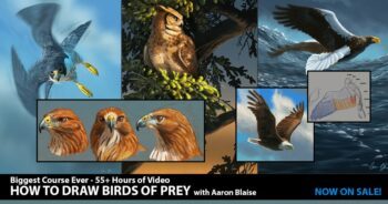 Home-Slide-Birds-Prey-960x504-2