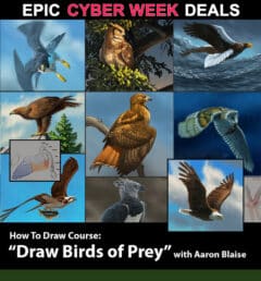 How to Draw Birds of Prey with Aaron Blaise