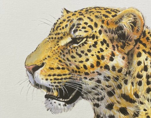 Leopard Marker Portrait 12" x 9" (2022) - Image 2