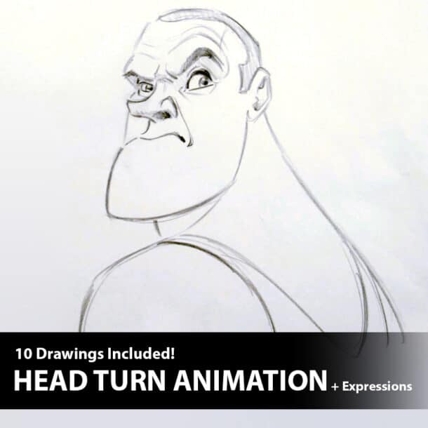 Head Turn Demo (Set of 9 Drawings + Expression Sheet) The Art of Aaron Blaise