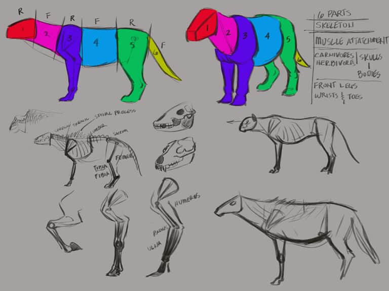 Creature Design with Aaron Blaise - Creature Design Tutorial