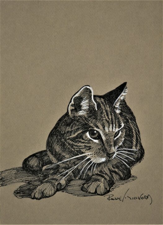 Studio Cat (Pen & Ink)