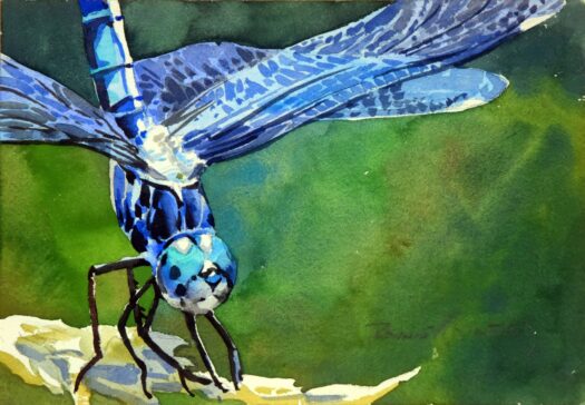 Blue Dragon (Watercolor)