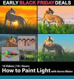 Aaron Blaise: How to Paint Light