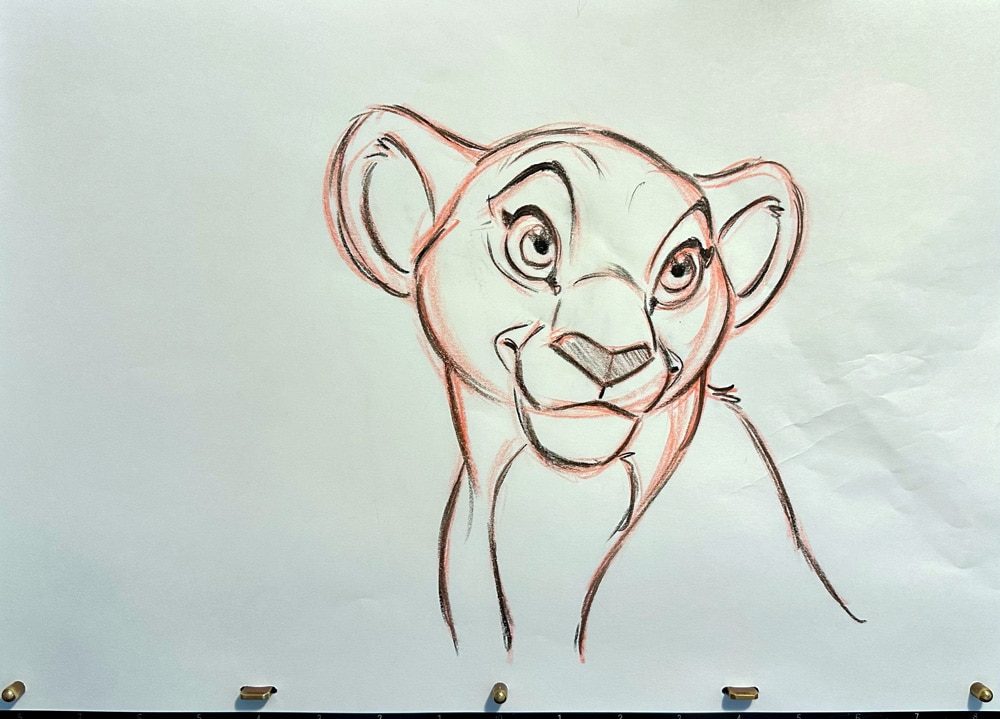 Nall Animation