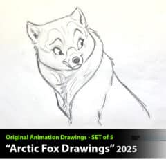 "Arctic Fox" Animation Drawings by Aaron Blaise - (Set of 5 Drawings)