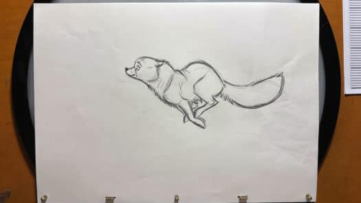 "Arctic Fox Run Cycle" Animation Drawings by Aaron Blaise - (Set of 5 Drawings) - Image 2