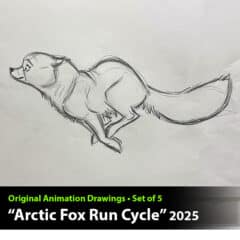 "Arctic Fox Run Cycle" Animation Drawings by Aaron Blaise - (Set of 5 Drawings)
