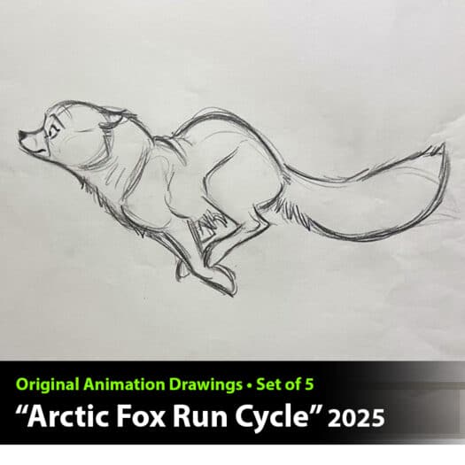 "Arctic Fox Run Cycle" Animation Drawings by Aaron Blaise - (Set of 5 Drawings)