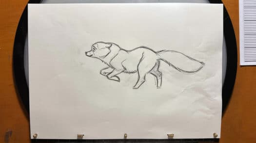 "Arctic Fox Run Cycle" Animation Drawings by Aaron Blaise - (Set of 5 Drawings) - Image 3