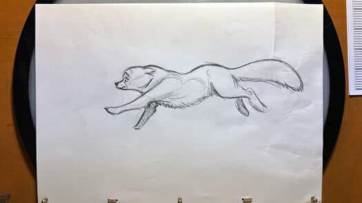 "Arctic Fox Run Cycle" Animation Drawings by Aaron Blaise - (Set of 5 Drawings) - Image 5
