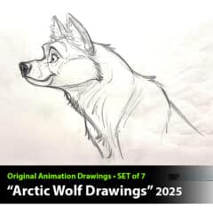"Arctic Wolf" Animation Drawings by Aaron Blaise - (Set of 7 Drawings)