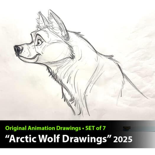 "Arctic Wolf" Animation Drawings by Aaron Blaise - (Set of 7 Drawings)