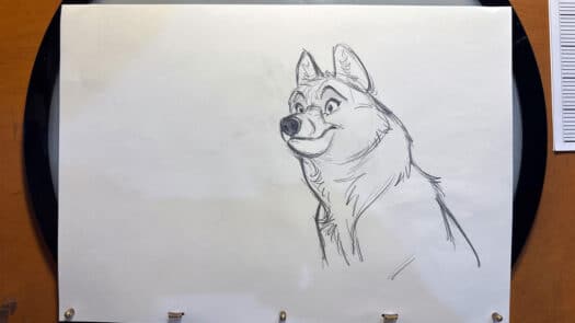 "Arctic Wolf" Animation Drawings by Aaron Blaise - (Set of 7 Drawings) - Image 2