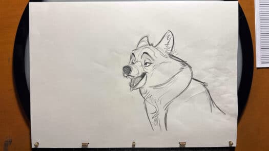 "Arctic Wolf" Animation Drawings by Aaron Blaise - (Set of 7 Drawings) - Image 5