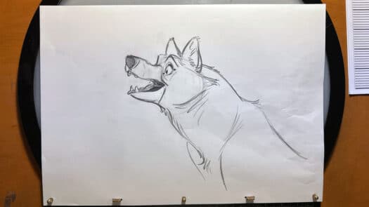 "Arctic Wolf" Animation Drawings by Aaron Blaise - (Set of 7 Drawings) - Image 7