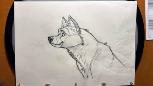 "Arctic Wolf" Animation Drawings by Aaron Blaise - (Set of 7 Drawings) - Image 8