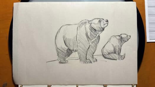 "Bear Sketches" Original Drawing by Aaron Blaise - Image 2