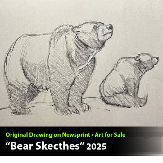 "Bear Sketches" Original Drawing by Aaron Blaise