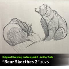 "Bear Sketches #2" Original Drawing by Aaron Blaise