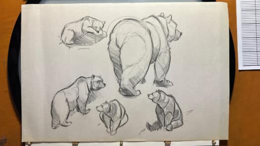 "Bear Sketches #3" Original Drawing by Aaron Blaise - Image 2