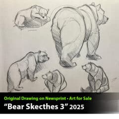"Bear Sketches #3" Original Drawing by Aaron Blaise