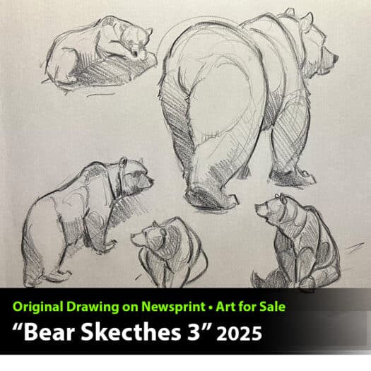 "Bear Sketches #3" Original Drawing by Aaron Blaise