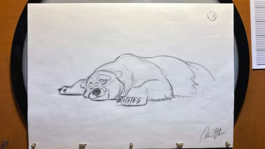 "Sleepy Bear Demo" Animation Drawings by Aaron Blaise - (Set of 5 Drawings) - Image 2