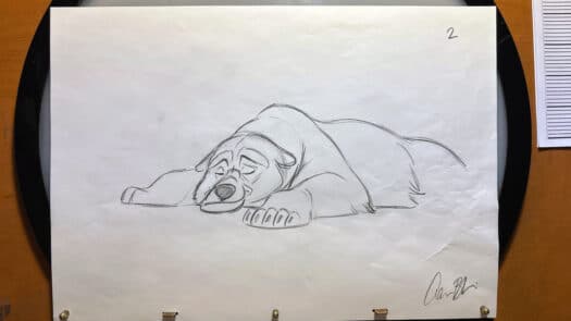 "Sleepy Bear Demo" Animation Drawings by Aaron Blaise - (Set of 5 Drawings) - Image 3