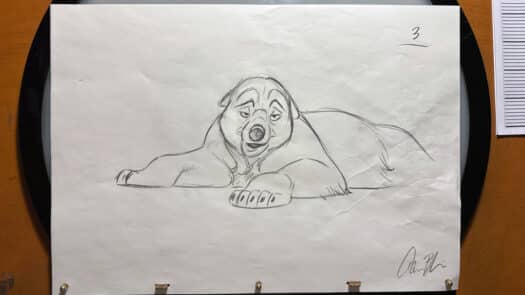 "Sleepy Bear Demo" Animation Drawings by Aaron Blaise - (Set of 5 Drawings) - Image 4