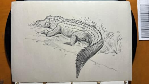 "Swamp Puppy at Rest" Original Drawing by Aaron Blaise - Image 2