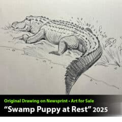 "Swamp Puppy at Rest" Original Drawing by Aaron Blaise