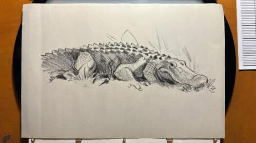 "Swamp Puppy Portrait" Original Drawing by Aaron Blaise - Image 2
