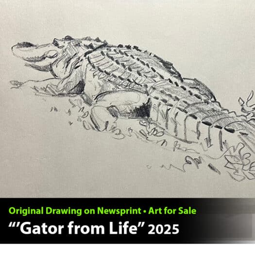 "Gator from Life" Original Drawing by Aaron Blaise