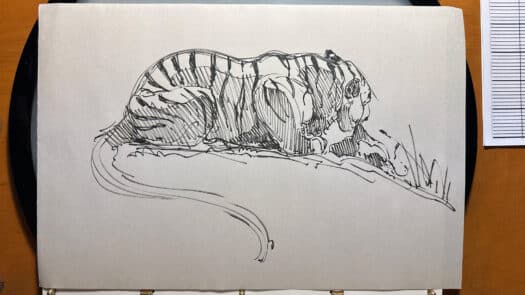 "Tiger Gesture" Pen & Ink Drawing - Image 2