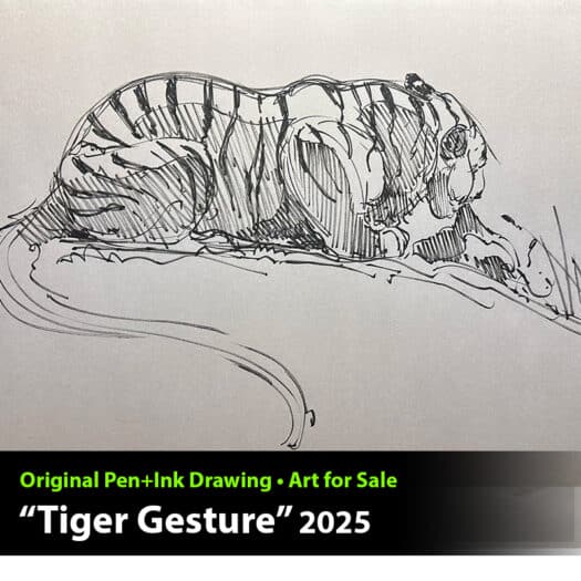 "Tiger Gesture" Pen & Ink Drawing