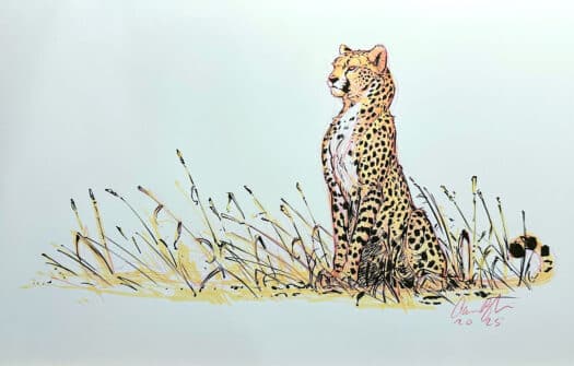 "Cheetah, Mixed Media" Original Drawing by Aaron Blaise - Image 2
