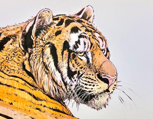 "August Tiger" Original Mixed Media Drawing by Aaron Blaise - Image 3